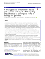 A new hypothesis for Parkinson's disease pathogenesis: GTPase-p38 MAPK signaling and autophagy as convergence points of etiology and genomics
