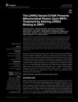 The LRRK2 Variant E193K Prevents Mitochondrial Fission Upon MPP plus Treatment by Altering LRRK2 Binding to DRP1