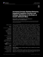 Increased Anxiety-Related Behavior, Impaired Cognitive Function and Cellular Alterations in the Brain of Cend1-deficient Mice