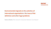 Environmental migrants in the activities of international organizations: the issue of the definition and other legal problems