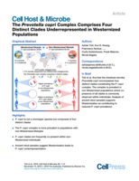 The Prevotella copri complex comprises four distinct clades that are underrepresented in Westernized populations