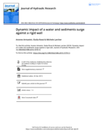 Dynamic impact of a water and sediments surge against a rigid wall
