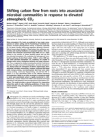 Shifting carbon flow from roots into associated microbial communities in response to elevated atmospheric CO2