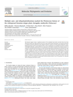 Multiple auto- and allopolyploidisations marked the Pleistocene history of the widespread Eurasian steppe plant Astragalus onobrychis (Fabaceae)