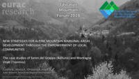 New Strategies for Alpine Mountain Marginal Areas: Development through the empowerment of local communities : the case studies of Seren del Grappa (Belluno) and Montagne Vitali (Trentino)