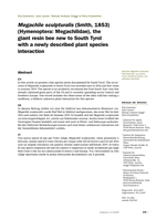 Megachile sculpturalis (Smith, 1853) (Hymenoptera: Megachilidae), the giant resin bee new to South Tyrol with a newly described plant species interaction