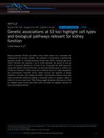 Genetic associations at 53 loci highlight cell types and biological pathways relevant for kidney function