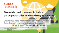 Mountain rural commons in Italy: a participation dilemma in a changing society
