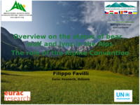 Overview on the status of bear, wolf and lynx in the Alps: the role of the Alpine Convention