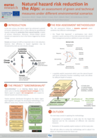 Natural hazard risk reduction in the Alpine region: an assessment of alternative protection measures under different environmental scenarios