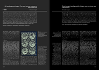Delle immagini morfogenetiche: Cinque note tra scienza, arte e architettura = Of morphogenetic images: Five notes between science, art and architecture