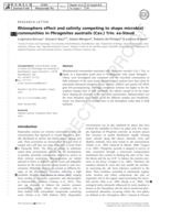 Rhizosphere effect and salinity competing to shape microbial communities in Phragmites australis (Cav.) Trin. ex-Steud