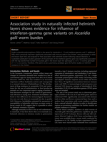 Association study in naturally infected helminth layers shows evidence for influence of interferon-gamma gene variants on Ascaridia galli worm burden