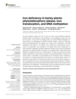 Iron deficiency in barley plants: phytosiderophore release, iron translocation, and DNA methylation