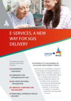 E-services, a new way for SGIs delivery