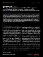 Modeling Parkinson's disease in midbrain-like organoids