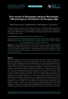 First records of Opetiopalpus sabulosus Motschulsky, 1840 (Coleoptera, Cleridae) for the European Alps