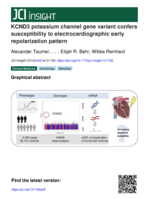 KCND3 potassium channel gene variant confers susceptibility to electrocardiographic early repolarization pattern
