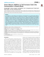 Green manure addition to soil increases grain zinc concentration in bread wheat