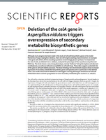 Deletion of the celA gene in Aspergillus nidulans triggers overexpression of secondary metabolite biosynthetic genes