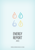 Energy report 2015