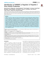 Identification of HNRNPK as regulator of hepatitis C virus particle production