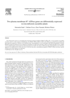 Two plasma membrane H+-ATPase genes are differentially expressed in iron-deficient cucumber plants