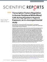 Transcription Factors Regulation in Human Peripheral White Blood Cells during Hypobaric Hypoxia Exposure: an in-vivo experimental study