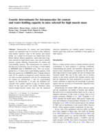 Genetic determinants for intramuscular fat content and water-holding capacity in mice selected for high muscle mass