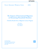 The impacts of international migration on remaining household members: omnibus results from a migration lottery program