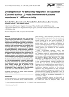Development of Fe-deficiency responses in cucumber (Cucumis sativus L.) roots: involvement of plasma membrane H+-ATPase activity