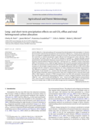 Long- and short-term precipitation effects on soil CO2 efflux and total belowground carbon allocation