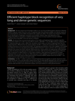 Efficient haplotype block recognition of very long and dense genetic sequences