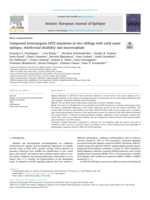 Compound heterozygous SZT2 mutations in two siblings with early-onset epilepsy, intellectual disability and macrocephaly