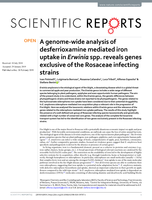 A genome-wide analysis of desferrioxamine mediated iron uptake in Erwinia spp. reveals genes exclusive of the Rosaceae infecting strains