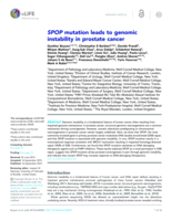 SPOP mutation leads to genomic instability in prostate cancer