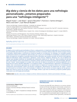 Big data y ciencia de los datos para una nefrología personalizada: ¿estamos preparados para una “nefrología inteligente”?