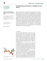 Visualizing ligand molecules in Twilight electron density