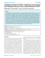 Arabidopsis thaliana AUCSIA-1 regulates Auxin biology and physically interacts with a kinesin-related protein