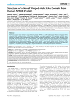 Structure of a novel winged-helix like domain from human NFRKB protein