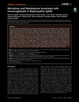 Microbiota and metabolome associated with immunoglobulin A nephropathy (IgAN).