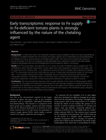 Early transcriptomic response to Fe supply in Fe-deficient tomato plants is strongly influenced by the nature of the chelating agent