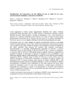 Identificazione del trasportatore ad alta affinità di urea in radici di Zea mays: caratterizzazione biochimica e molecolare di ZmDUR3