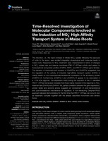 Time-Resolved Investigation of Molecular Components Involved in the Induction of NO3- High Affinity Transport System in Maize Roots