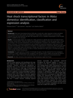 Heat shock transcriptional factors in Malus domestica: Identification, classification and expression analysis