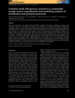 Common reeds (Phragmites australis) as sustainable energy source: experimental and modelling analysis of torrefaction and pyrolysis processes