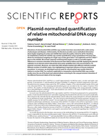 Plasmid-normalized quantification of relative mitochondrial DNA copy number