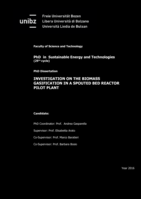 Investigation on the biomass gasification in a spouted bed reactor pilot plant
