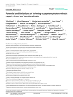 Potential and limitations of inferring ecosystem photosynthetic capacity from leaf functional traits
