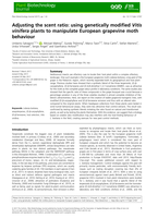 Adjusting the scent ratio: using genetically modified Vitis vinifera plants to manipulate European grapevine moth behaviour